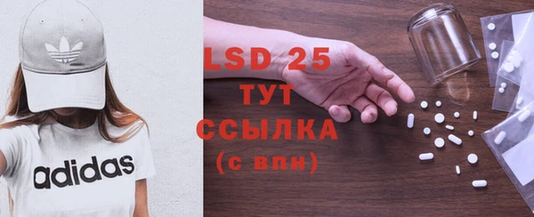 стаф Баксан