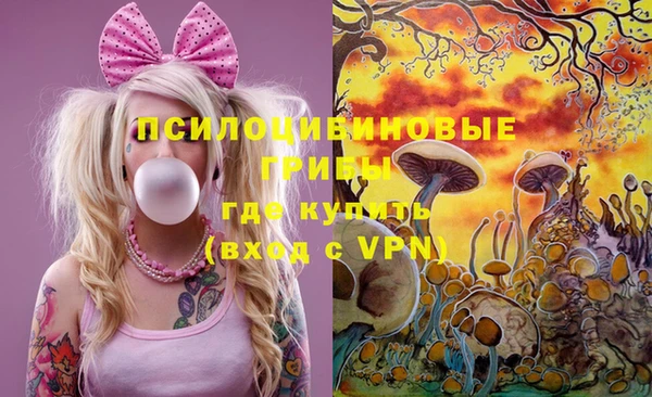 стаф Баксан