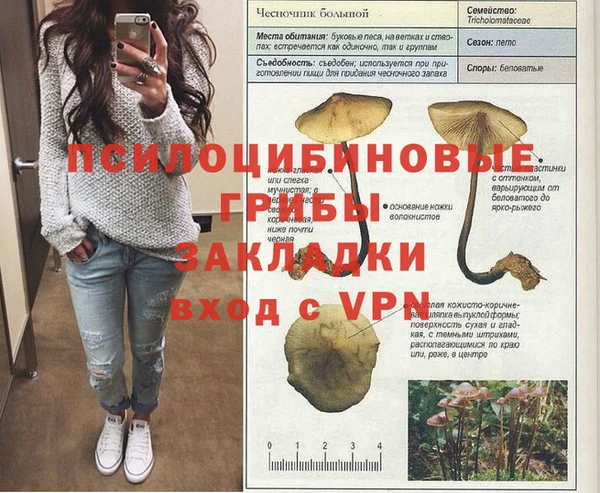 стаф Баксан