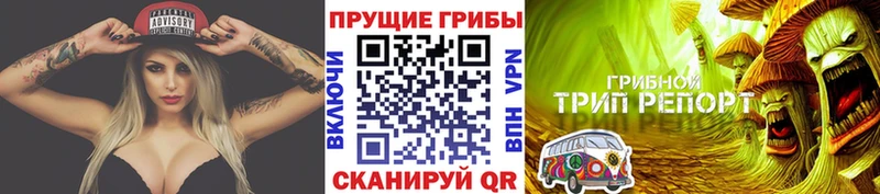 hydra зеркало  Щёлкино  Галлюциногенные грибы ЛСД  как найти наркотики 