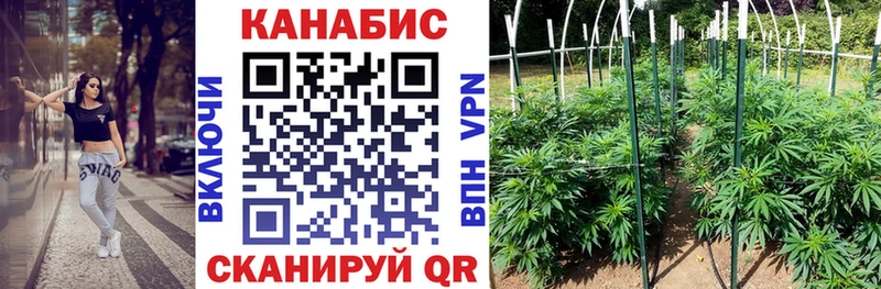 Конопля Ganja  Щёлкино 